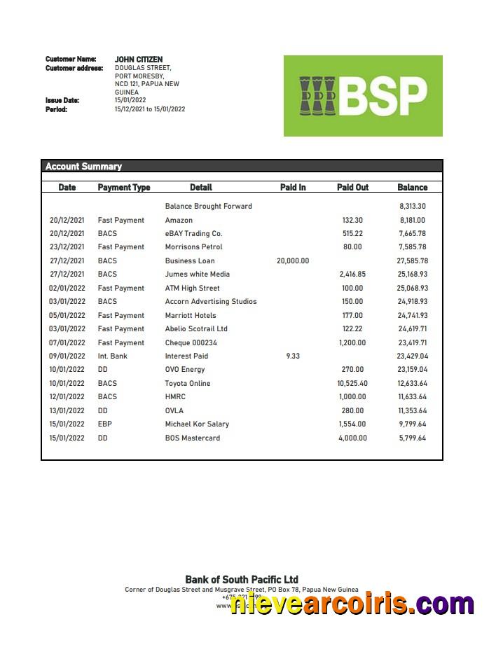 Papua New Guinea BSP bank statement